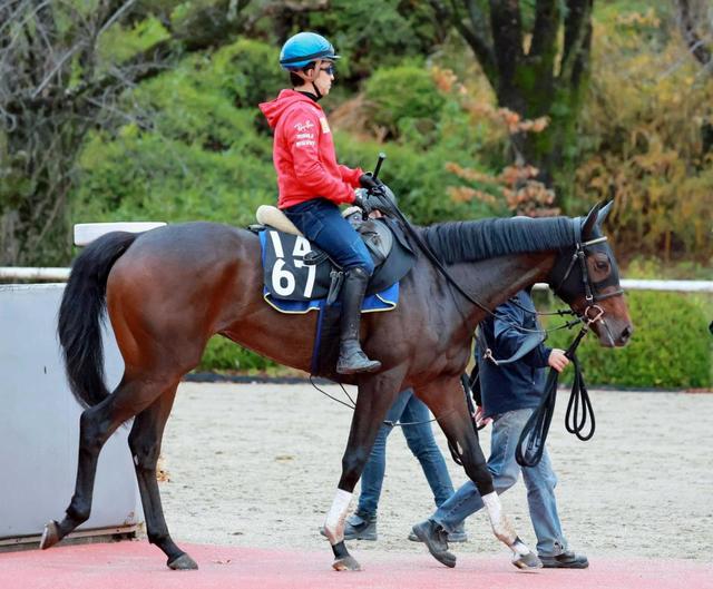 【ＰＯＧ】母は米Ｇ１覇者　超良血馬メズマライジング　初戦から能力全開だ