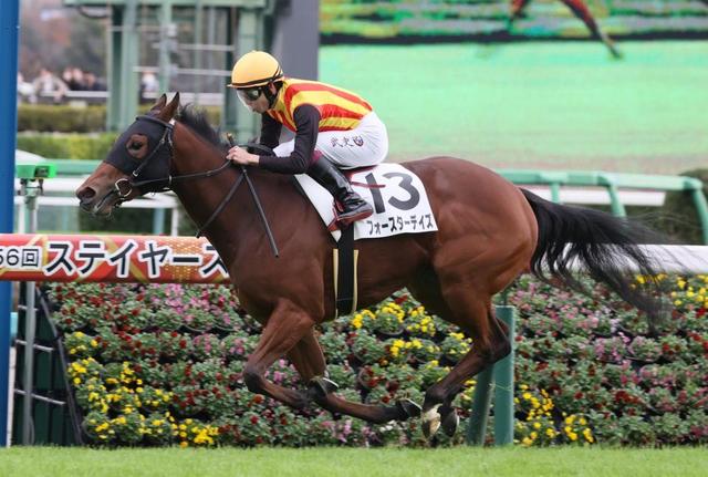 【ＰＯＧ】フォースターデイズ快速飛ばしＶ　横山武「競馬スムーズ」も「覚えること多そう」