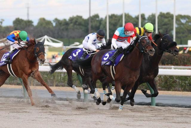 【チャンピオンズC】ジュンライトボルト初V 石川もG1初制覇「夢のような景色」