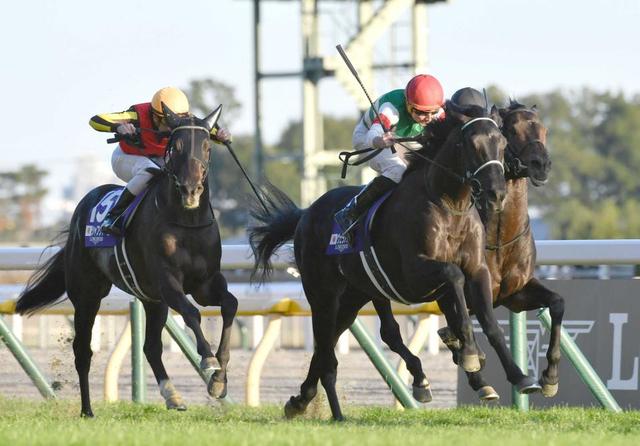 ヴェラアズール　松山との再コンビで有馬へ