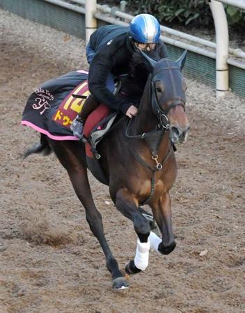 　好仕上がりをアピールしたドゥーラ（撮影・北村雅宏）