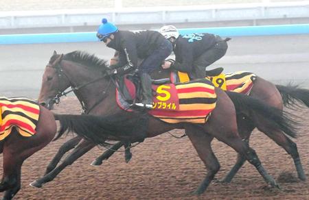 　ウンブライル（写真手前）は美浦Ｗで抜群の動き（撮影・三好信也）