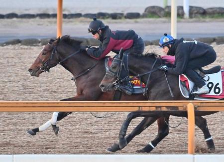 　栗東ＣＷで鋭い反応を見せたリバティアイランド（左）