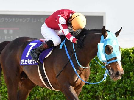 ６度目の中山グランドジャンプを制したオジュウチョウサン=4月16日