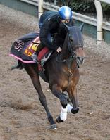 　好仕上がりをアピールしたドゥーラ（撮影・北村雅宏）