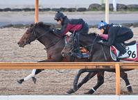 　栗東ＣＷで鋭い反応を見せたリバティアイランド（左）