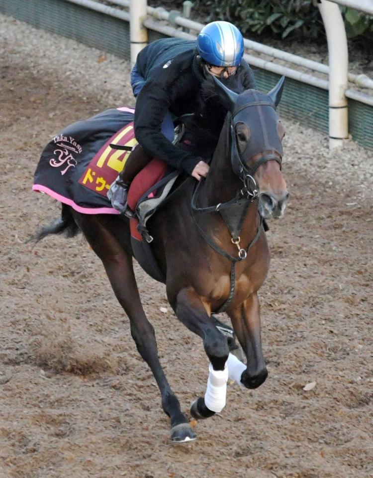 　好仕上がりをアピールしたドゥーラ（撮影・北村雅宏）