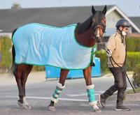 　２歳女王の座を見据えるブトンドール（撮影・石湯恒介）