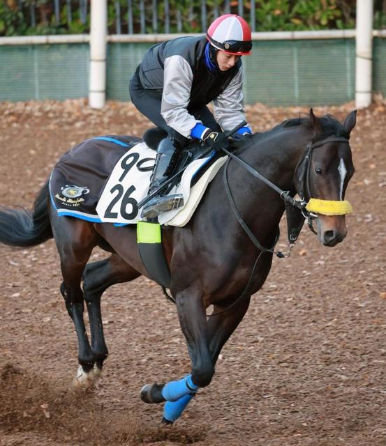 【中山＆中京＆阪神の危険な人気馬】中京１１Ｒ　プログノーシス