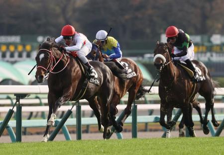 先週の葉牡丹賞を制したミッキーカプチーノ（左）