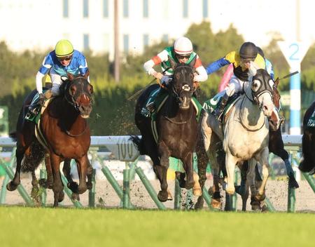 　中日新聞杯を制した団野騎乗のキラーアビリティ（中）