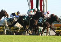 　中日新聞杯を制した団野騎乗のキラーアビリティ（手前）　