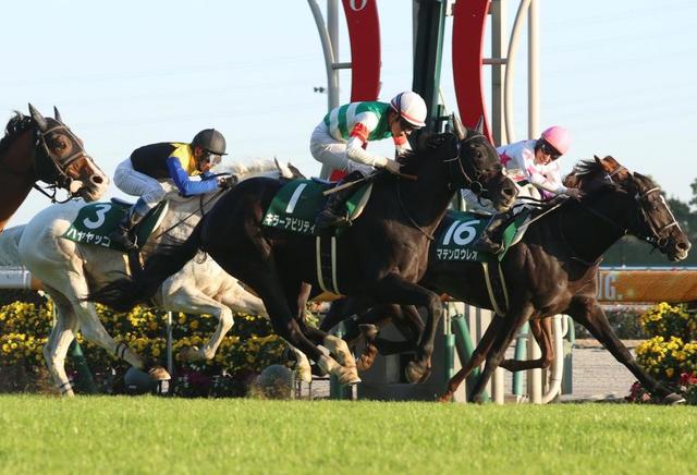【中日新聞杯】５番人気のキラーアビリティが重賞２勝目