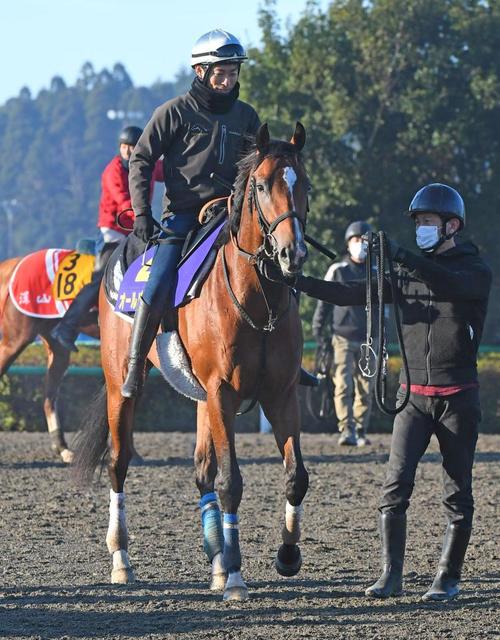 朝日杯fs オールパルフェ 破竹3連勝で2歳マイル王者だ 和田雄師 2倍3倍うれしい 競馬 レース デイリースポーツ Online 朝日杯fs オールパルフェ 破竹3連勝で2歳マイル王者だ 和田雄師 2倍3倍うれしい 競馬 レース デイリースポーツ Online