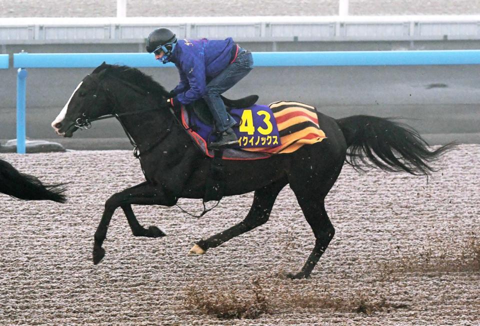 ラヴズオンリーユー ソダシ DR UT FW適応サイズ ヘッドカバー 馬 競走