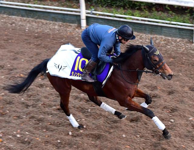 【中山＆阪神の危険な人気馬】阪神１１Ｒ　ダノンタッチダウン