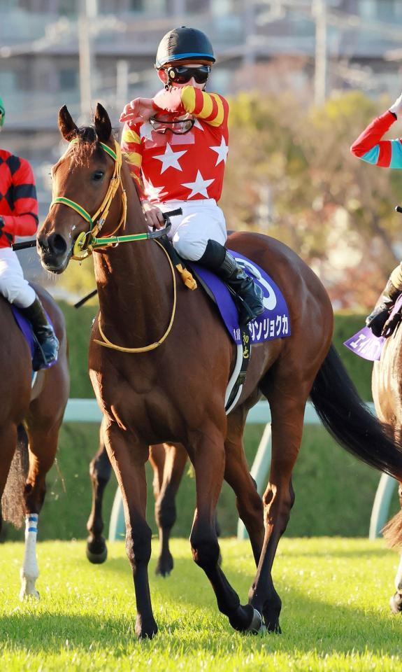 阪神ＪＦで２着に健闘したシンリョクカ