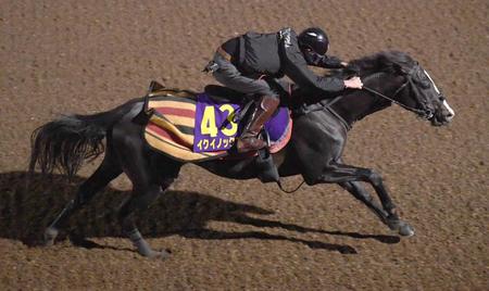 　午前４時の開門と同時に美浦坂路を駆け上がるイクイノックス