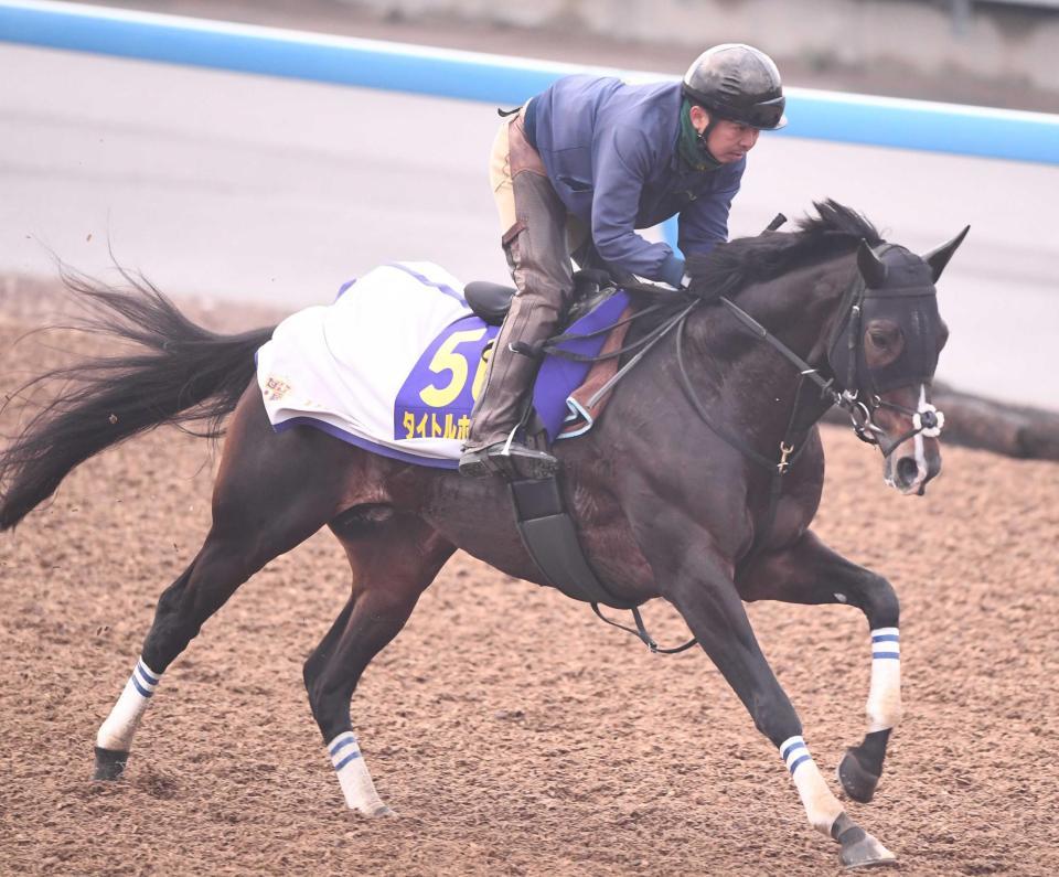 　美浦Ｗで力強い動きを見せたタイトルホルダー（撮影・園田高夫）