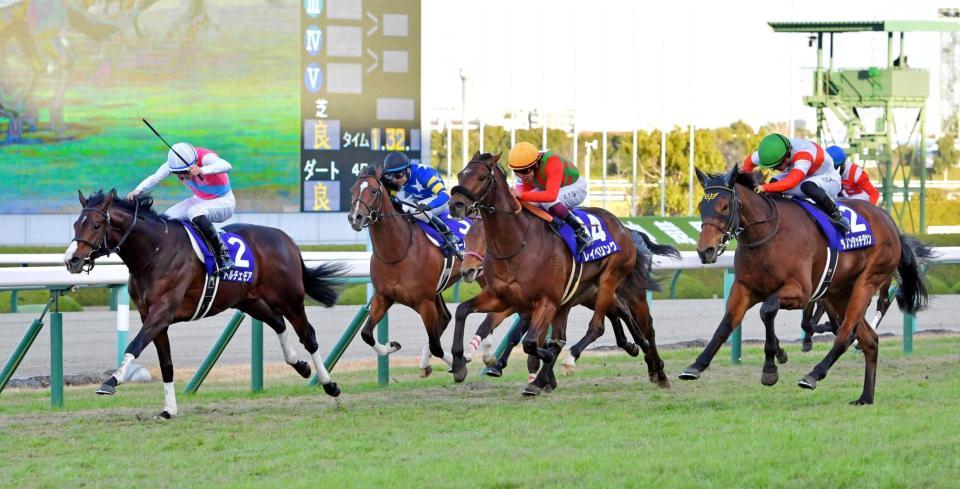 　堂々と抜け出したドルチェモア（左）＝撮影・神子素慎一