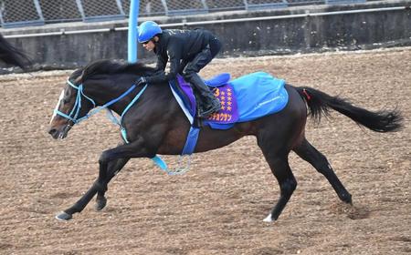 　生涯最後の追い切りを行ったオジュウチョウサン（撮影・三好信也）