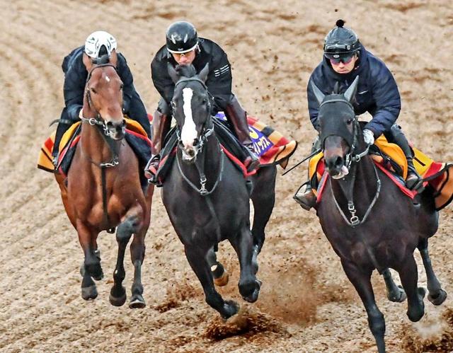 【有馬記念】イクイノックスは５枠　ルメール秋盾からの連勝へ自信「完璧」