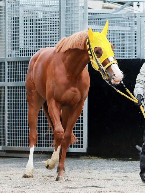 【有馬記念】ボルドグフーシュ　Ｆのカプセルで２枠ゲット　福永「良かったわ～」