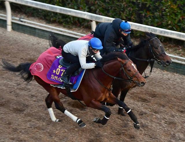 【中山＆阪神の危険な人気馬】阪神１１Ｒ　グレナディアガーズ