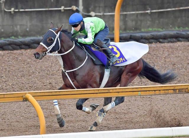 グロリアムンディが東京大賞典回避　福永とのコンビで参戦予定も