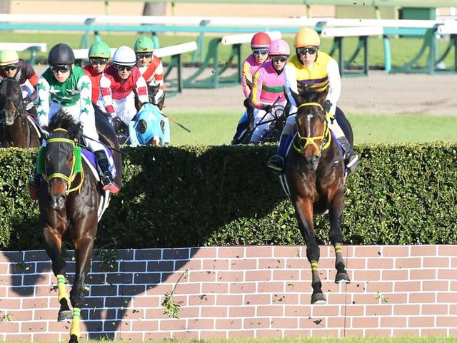 【中山大障害】ニシノデイジーが障害入り４戦目で新王者に　ラストランのオジュウチョウサンは６着