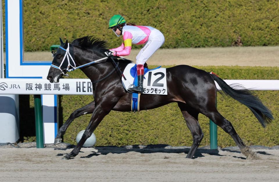 　新馬戦を快勝したモックモック（撮影・石湯恒介）