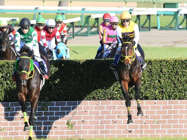 中山大障害】ニシノデイジー“速攻”頂点 障害転向わずか4戦目 五十嵐が