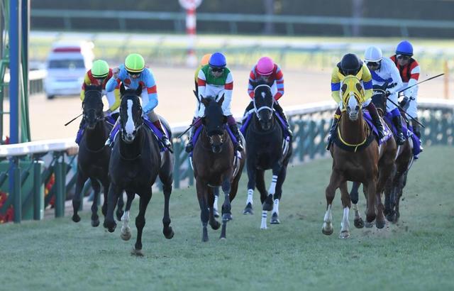 有馬記念】イクイノックスがクリスマスＧＰ制覇 ルメール「メリークリスマス！二度あることは三度ある」/競馬・レース/デイリースポーツ online