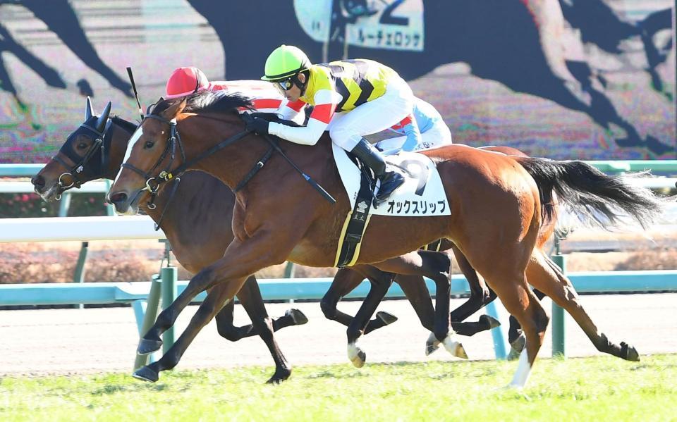 　初戦を勝利で飾ったオックスリップと戸崎圭（手前）＝撮影・三好信也