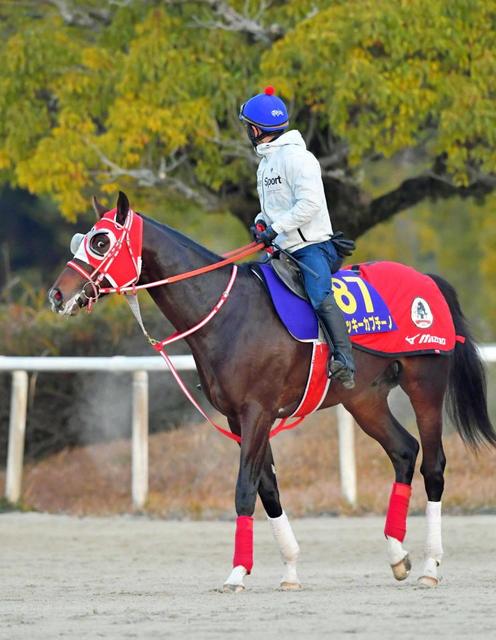 【ホープフルＳ】ミッキーカプチーノ無傷で頂点へ　矢作厩舎３年連続リーディング獲得へ花添える