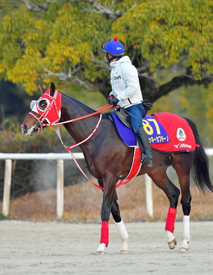 　大器ミッキーカプチーノが力の違いを見せつける（撮影・石湯恒介）