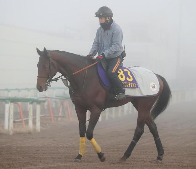 【ホープフルＳ】ハーツコンチェルト　競馬モード突入　出遅れ前走から巻き返しへ