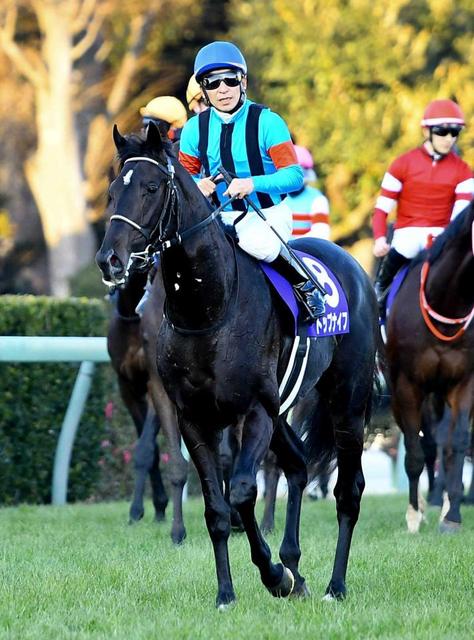 【ホープフルＳ】トップナイフ　夢膨らむ２着　昆師「まだ七、八分」来春が「一番良くなる時」