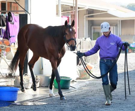 　重賞初制覇を狙う良血馬アドマイヤビルゴ