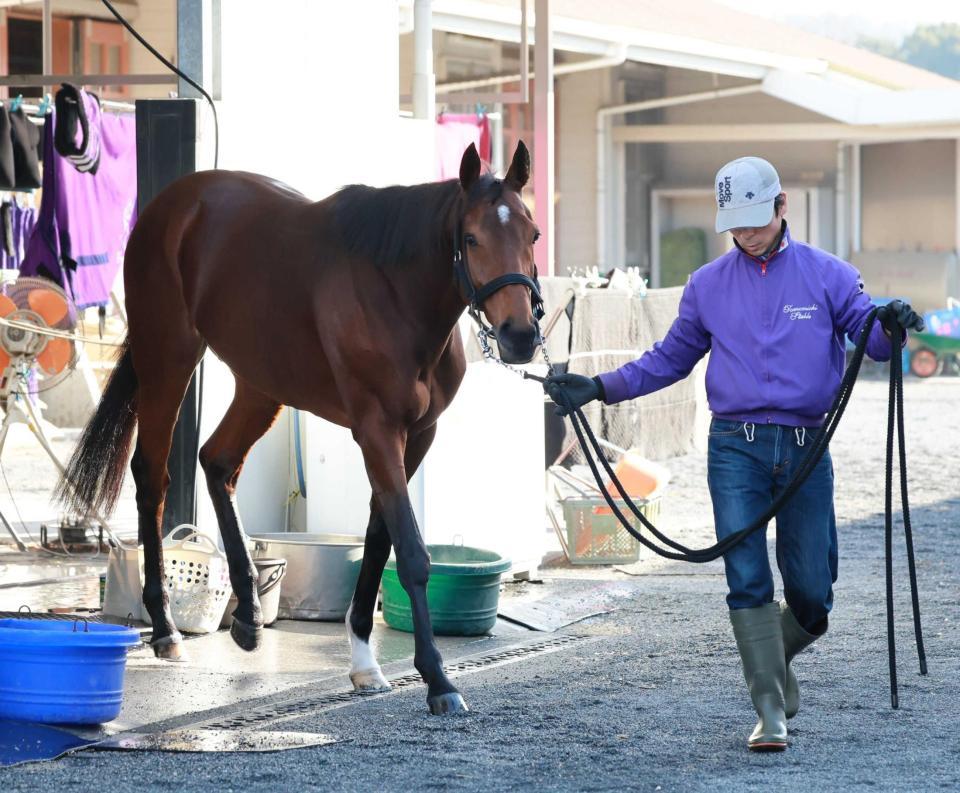 　重賞初制覇を狙う良血馬アドマイヤビルゴ