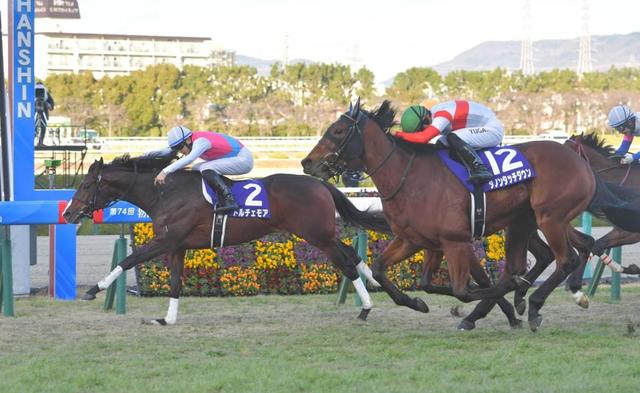 【３歳馬格付けチェック】牡馬はドルチェモア首位堅守　「無敗」の安定感は加点材料