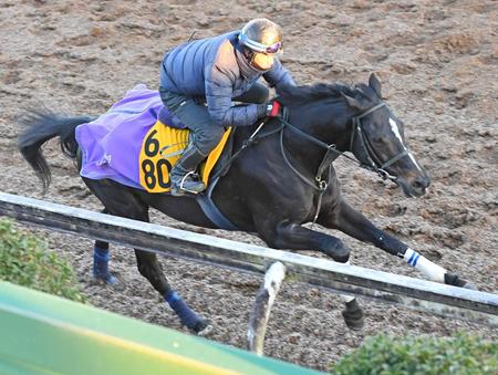 　美浦坂路で追い切ったゴールドスミス（撮影・三好信也）