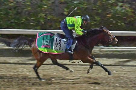 　栗東坂路で追い切るベレヌス（撮影・石湯恒介）