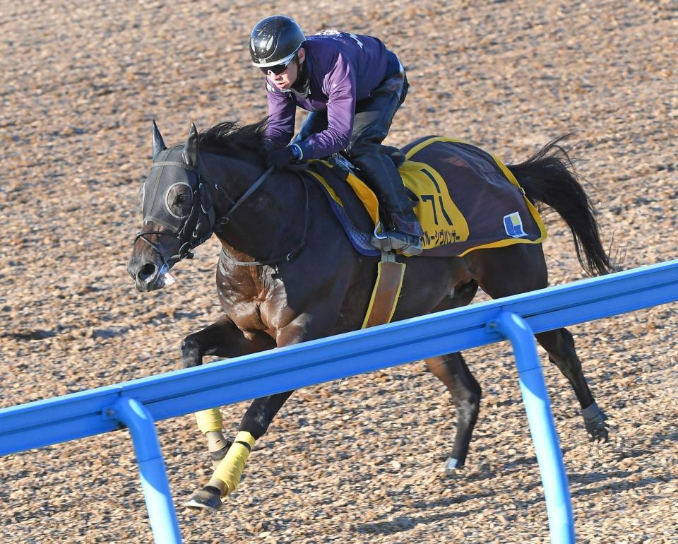 　重賞２勝目へ闘志を燃やすイルーシヴパンサー（撮影・三好信也）