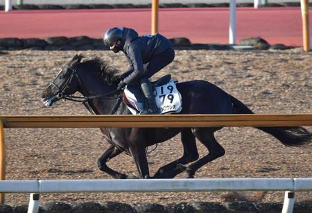 　栗東ＣＷを軽快に駆け抜けたマテンロウレオ（撮影・石湯恒介）