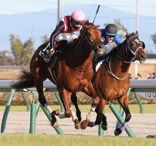 【万葉Ｓ】ミクソロジー　レコードＶで破竹の３連勝　西村淳は成長実感