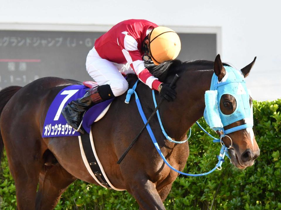 ＪＲＡ賞】わずか１票差でオジュウチョウサンが５度目の最優秀障害馬に/競馬・レース/デイリースポーツ online