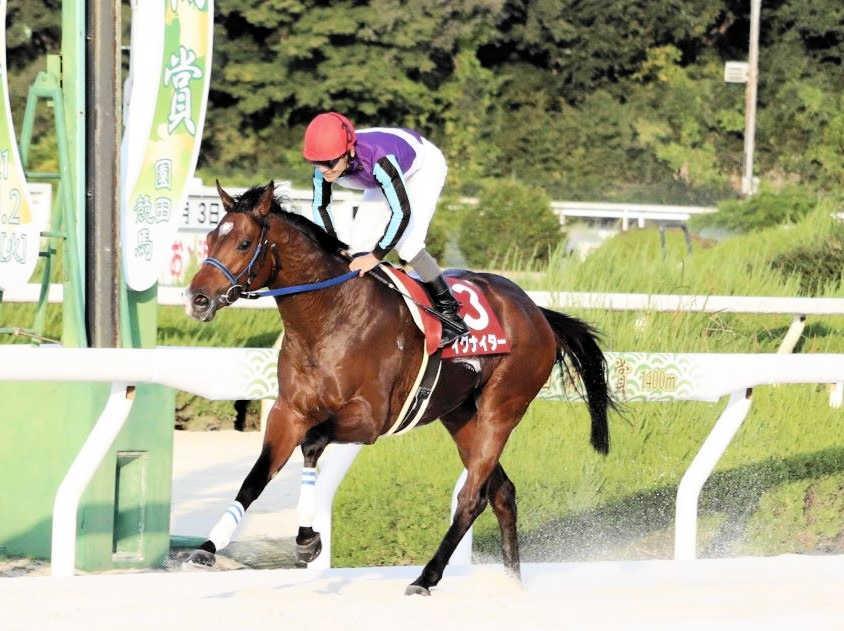 　２０２２年年度代表馬に輝いたイグナイター