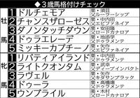 　デイリースポーツ独断の３歳馬格付けチェック