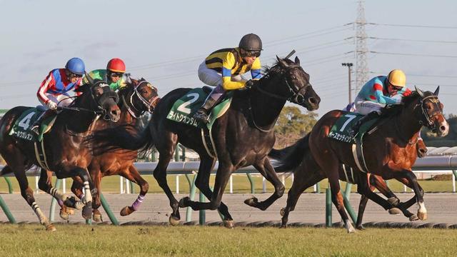 【３歳馬格付けチェック】ライトクオンタム牝馬２位浮上　シンザン記念Ｖで期待感